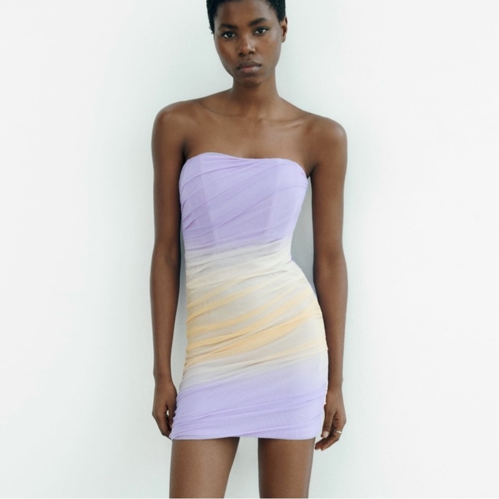Zara Lilac & Beige Ruched Mesh Dress Size L